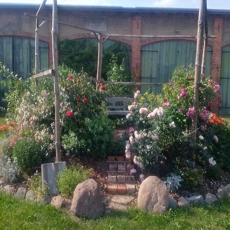 Apartament Scheunenhof Nebelin Zewnętrze zdjęcie